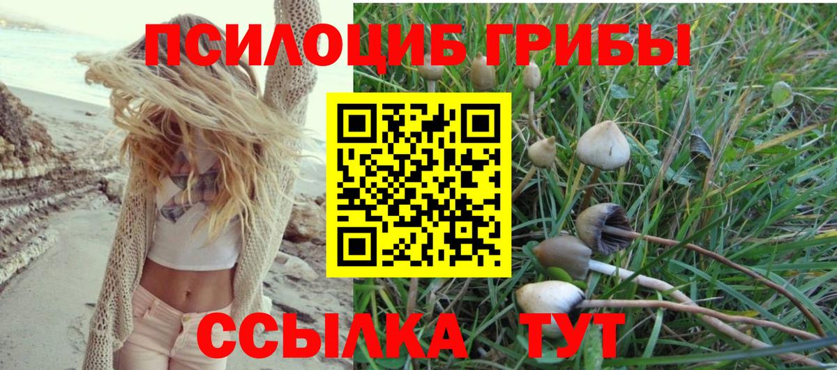 Псилоцибиновые грибы Magic Shrooms  Вход с VPN  Златоуст 
